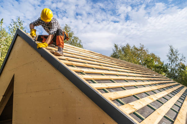 Best Gutter Installation and Roofing  in Dadeville, AL