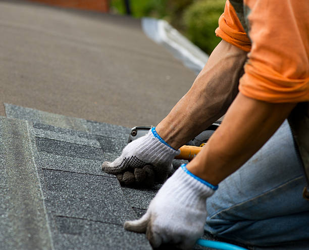Best Gutter Installation and Roofing  in Dadeville, AL